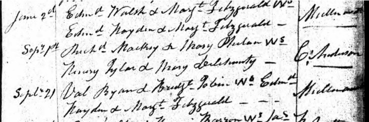 Ryan, Valentine and Bridget Tobin Marriage, Ossory Diocesan Transcript of Parish Registers in County Kilkenny (close-up)