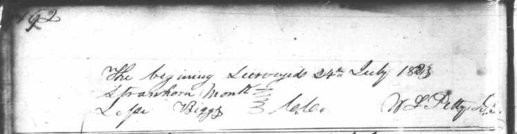 Cherry, Daniel, 274 Acre Survey, Hardin County Entry Bk.1 Feb. 1820-June 1835, p192 copy